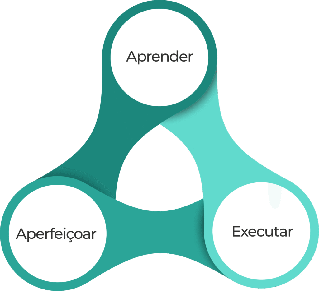 Triangulo feito com três elementos de forma arredondada com inscrições em cada uma das pontas sendo Aprender, Aperfeiçoar e Executar.